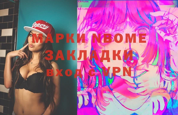 хмурый Инта