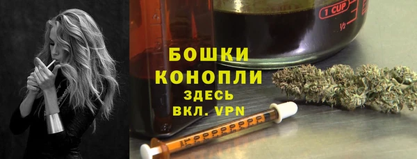 хмурый Инта