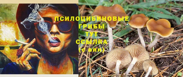 метадон Иннополис