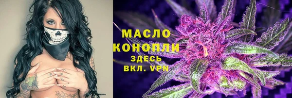 хмурый Инта