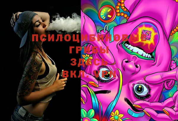 хмурый Инта