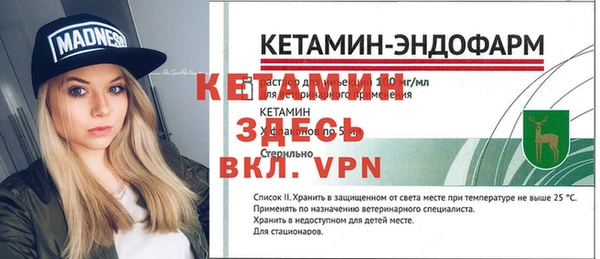 хмурый Инта