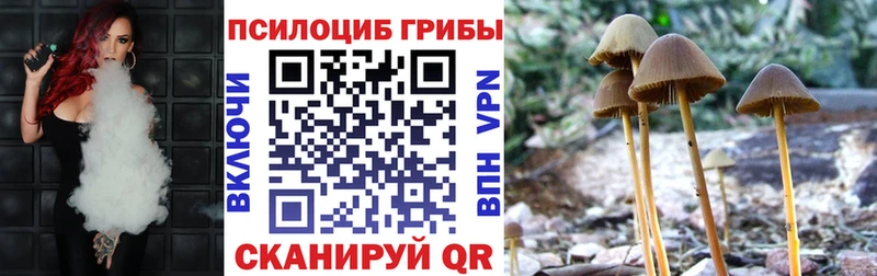 blacksprut ССЫЛКА Кизляр Псилоцибиновые грибы MAGIC MUSHROOMS как найти закладки