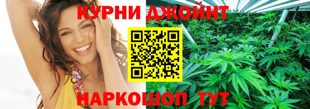 Конопля марихуана  Шишки марихуана конопля  Кизляр  Бошки марихуана конопля  Вход с VPN 